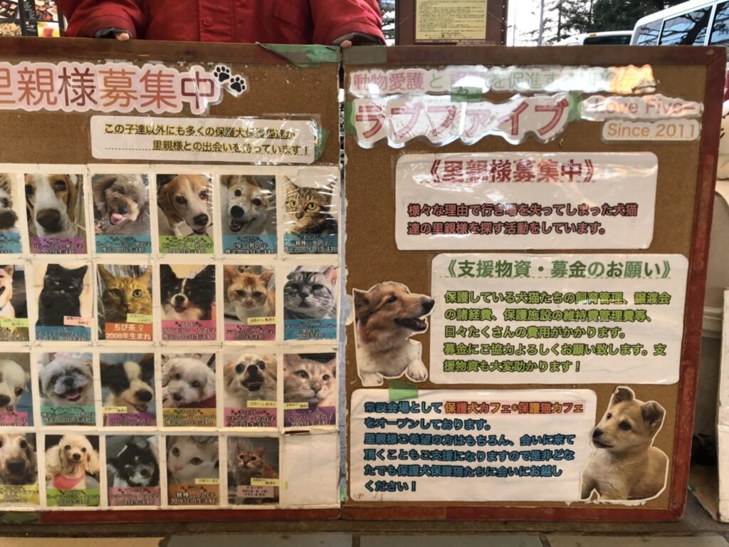 ラブファイブ さんの保護犬保護猫の募金活動に募金してきた 京橋じゃーなる