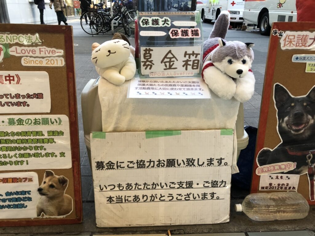 ラブファイブ さんの保護犬保護猫の募金活動に募金してきた 京橋じゃーなる