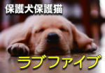 『ラブファイブ』さんの保護犬保護猫の募金活動に募金してきた