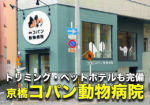 犬猫のかかりつけ院『京橋コパン動物病院』は設備がすごかった!