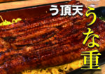 うなぎ串料理『う頂天』でうな重を食べてきた!