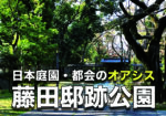 藤田邸跡公園のお花が見頃になってきた〜!!