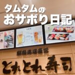 タムタムのおサボり日記
