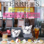 エアコン完備! TERRE-a-S