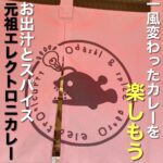 お出汁とスパイスの一風変わったカレーを楽しもう <元祖エレクトロニカレー>