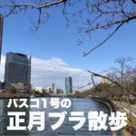 バスコ1号の正月ブラ散歩【2022年】
