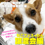 つかねこさん主催の保護犬猫の譲渡会でmisonoさんとドレイク森松さんにインタビューしてきたよ!【譲渡会編】