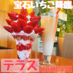宝石いちごが京橋に降臨!【TERRE-a-S(テラス)】