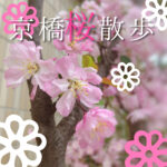 京橋【桜】散歩