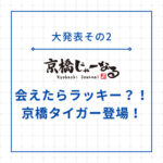 【2大発表その2】会えたらラッキー!?新メンバー「京橋タイガー」登場!!